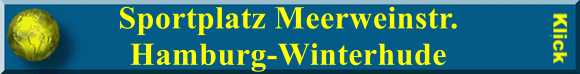Sportplatz Meerweinstr. Hamburg-Winterhude