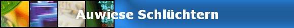 Auwiese Schlüchtern
