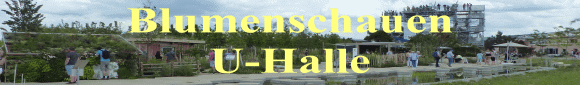 Blumenschauen U-Halle