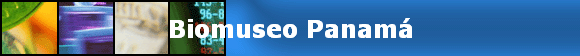 Biomuseo Panam&aacute;