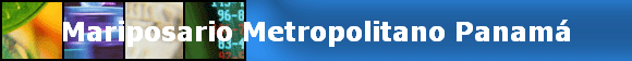 Mariposario Metropolitano Panam&aacute;